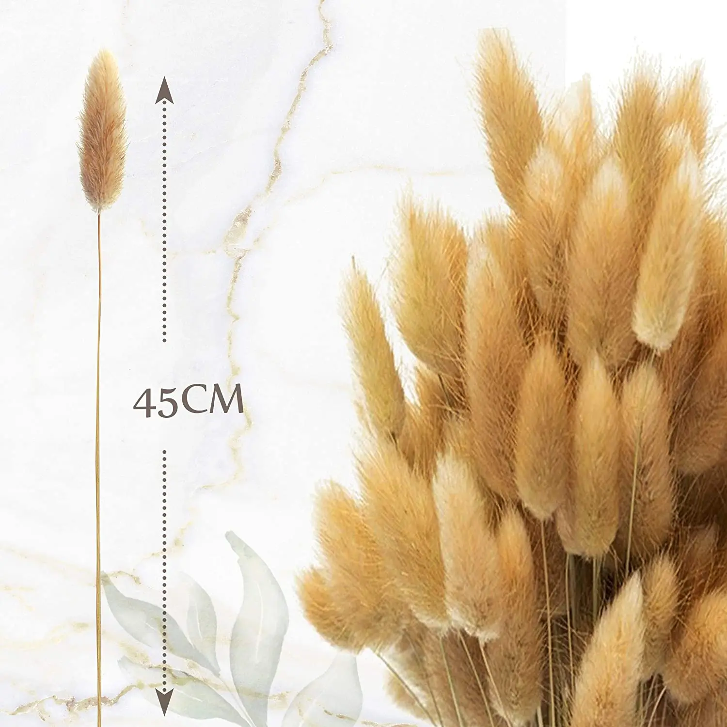 50pcs Dekoration Natural Dried Pampas Grass Flower Phragmites White Black Bunny Rabbit Tail Grass Fleurs Sechees Home Decoracion
50pcs Dekoration Natural Dried Pampas Grass Flower Phragmites White Black Bunny Rabbit Tail Grass Fleurs Sechees Home Decoracion