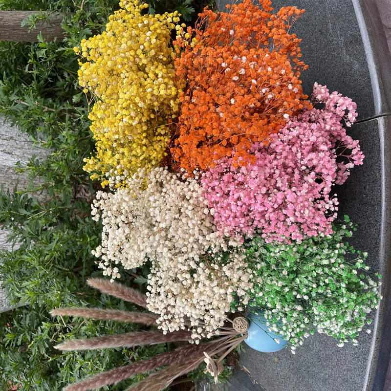 100g Gypsophila Baby Breath Million Stars Natural Plant Preserved Dried Flowers Christmas Home Wedding Decoration Customized
100g Gypsophila Baby Breath Million Stars Natural Plant Preserved Dried Flowers Christmas Home Wedding Decoration Customized