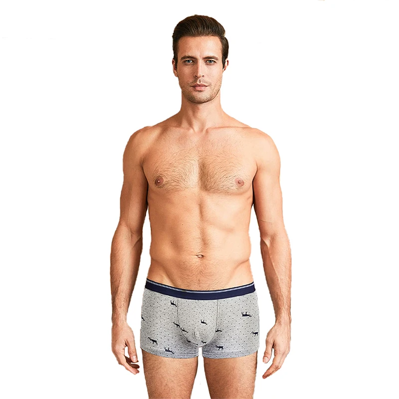 5Pcs\lot Shorts Men's Underwear Soft Boxers Men underpants Cotton Boxer Shorts Plus Size Boxers Sexy Men's panties
5Pcs\lot Shorts Men's Underwear Soft Boxers Men underpants Cotton Boxer Shorts Plus Size Boxers Sexy Men's panties