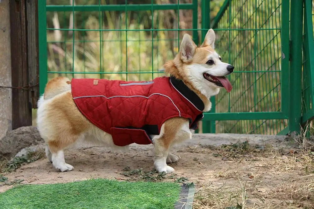 2020 Winter Dog Reflective Thick Warm Jacket Coat Pet Clothes Puppy Jackets for Small to Medium Dogs Winter
2020 Winter Dog Reflective Thick Warm Jacket Coat Pet Clothes Puppy Jackets for Small to Medium Dogs Winter