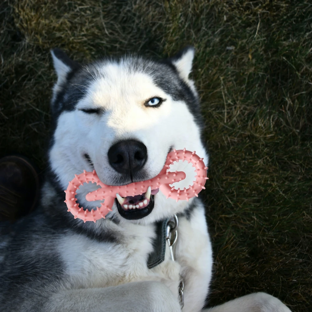 Dog Toy Interactive Chewing Rope Ball Toys Set Natural Tug Of War For Small Medium Dogs
Dog Toy Interactive Chewing Rope Ball Toys Set Natural Tug Of War For Small Medium Dogs