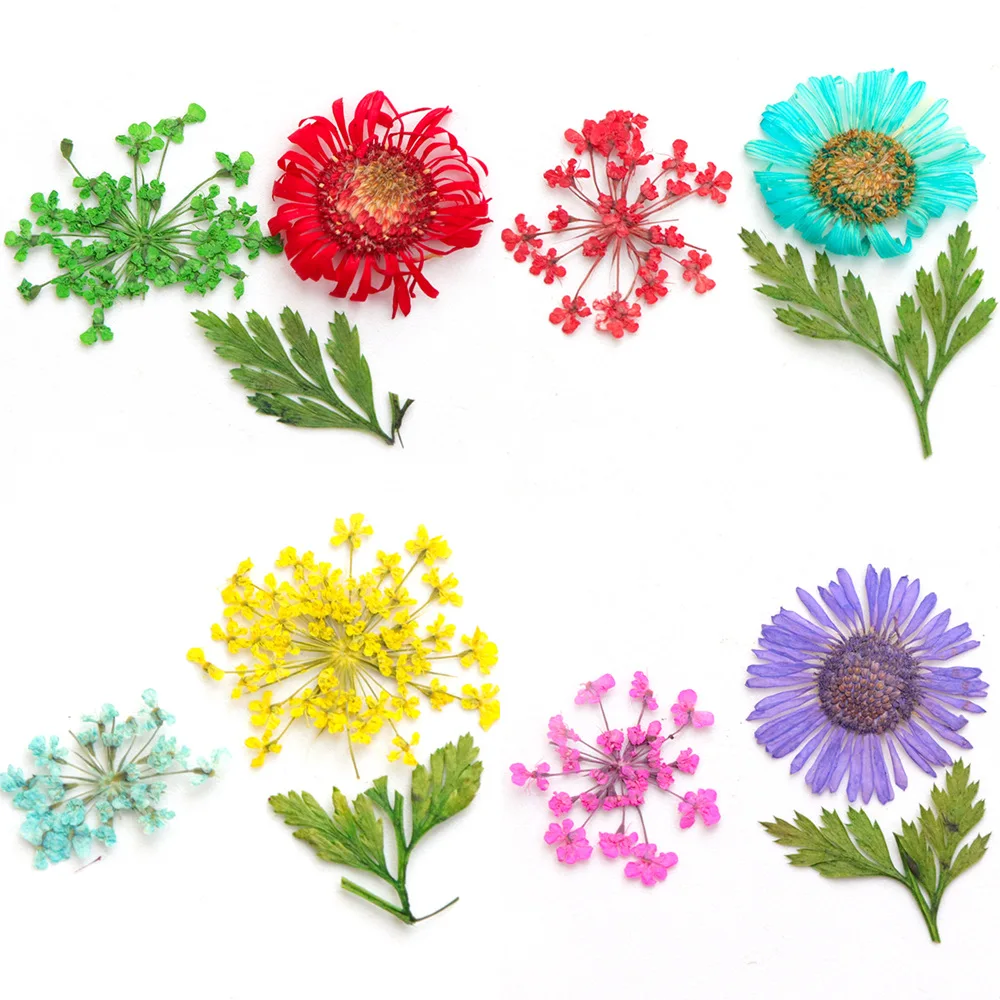 Random 4boxes Mix style Beautiful Real Pressed Flower Dried Flowers for Art Craft Epoxy Resin Jewelry Craft Making
Random 4boxes Mix style Beautiful Real Pressed Flower Dried Flowers for Art Craft Epoxy Resin Jewelry Craft Making