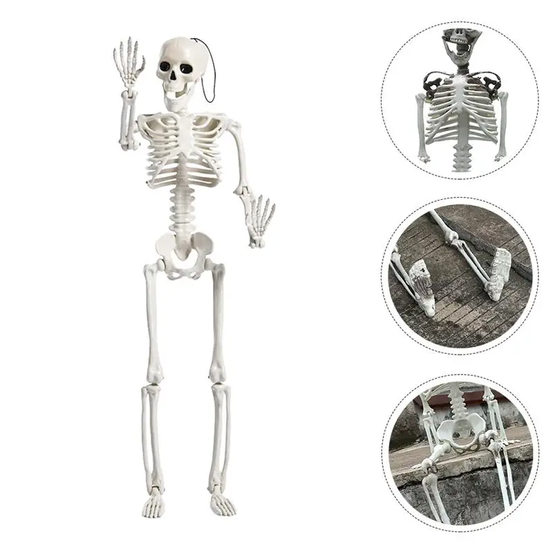 1Pc Desktop Bauble Skull Ornament Skeleton Model Halloween Decor for Room Decor Tabletop Adorn 
1Pc Desktop Bauble Skull Ornament Skeleton Model Halloween Decor for Room Decor Tabletop Adorn