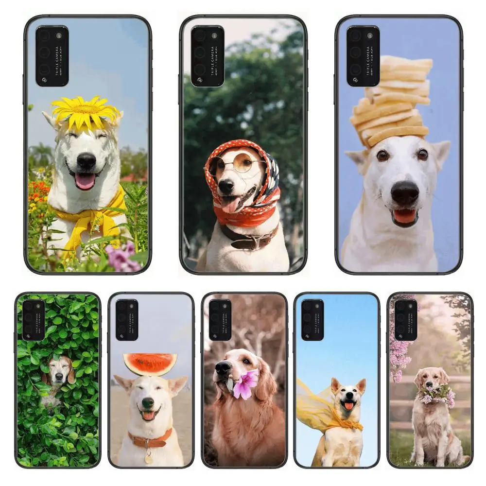 Teddy Bulldog Pomeranian Corgi Golden dog Cool Clear Phone Case For Huawei Honor 10 20 30 9 X Pro Lite V 5G RU Black Etui Coqu
Teddy Bulldog Pomeranian Corgi Golden dog Cool Clear Phone Case For Huawei Honor 10 20 30 9 X Pro Lite V 5G RU Black Etui Coqu