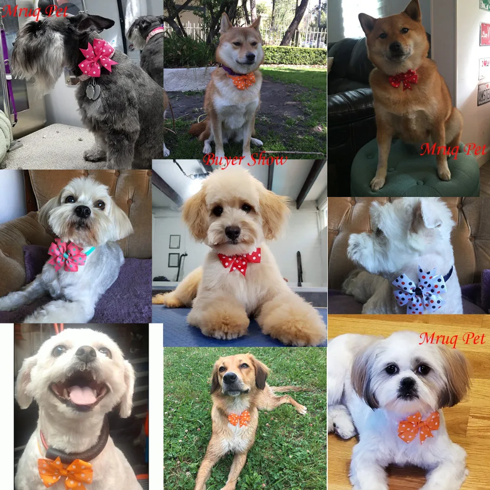 Wholesale 60pcs Pet Puppy Dog Cat Ribbon Bow Ties&Bowtie Adjustable Polka Dots Bowknot Dog Collar Dog Accessories Pet Supplies
Wholesale 60pcs Pet Puppy Dog Cat Ribbon Bow Ties&Bowtie Adjustable Polka Dots Bowknot Dog Collar Dog Accessories Pet Supplies