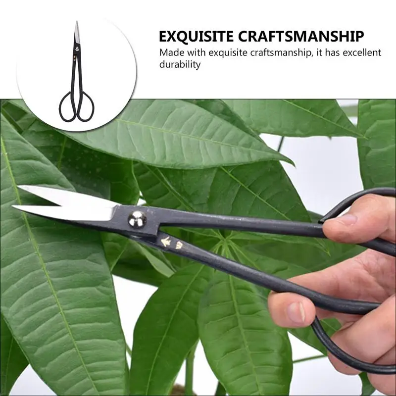 1Pc Floral Trimming Tool Gardening Shear Flower Arrangement Shear for Shop Balcony Home Garden
1Pc Floral Trimming Tool Gardening Shear Flower Arrangement Shear for Shop Balcony Home Garden