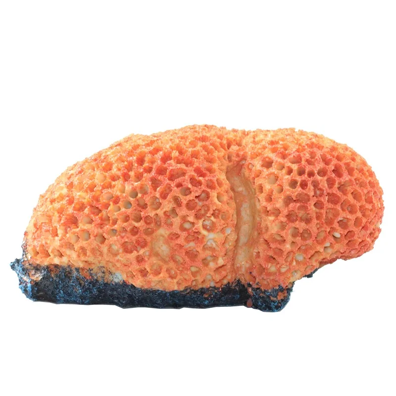 Aquarium Decoration Fish Tank Landscaping Artificial resin coral rockery Ornaments Aquascape Landscape Decor Accessories
Aquarium Decoration Fish Tank Landscaping Artificial resin coral rockery Ornaments Aquascape Landscape Decor Accessories