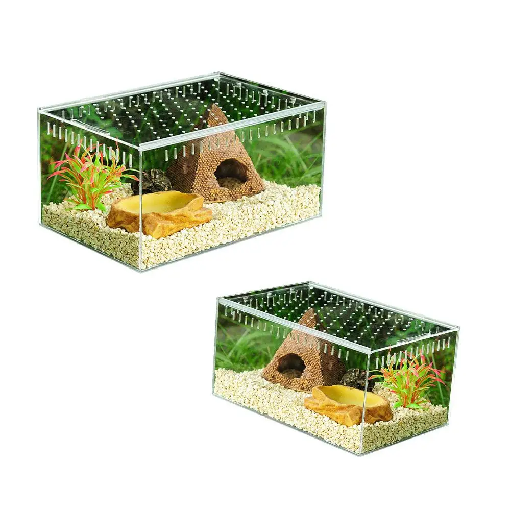 Transparent Acrylic Reptile Box for Spiders Tortoise Lizard Breeding Insect Box Vents Sliding Small Pet Terrarium Vivarium #WO
Transparent Acrylic Reptile Box for Spiders Tortoise Lizard Breeding Insect Box Vents Sliding Small Pet Terrarium Vivarium #WO