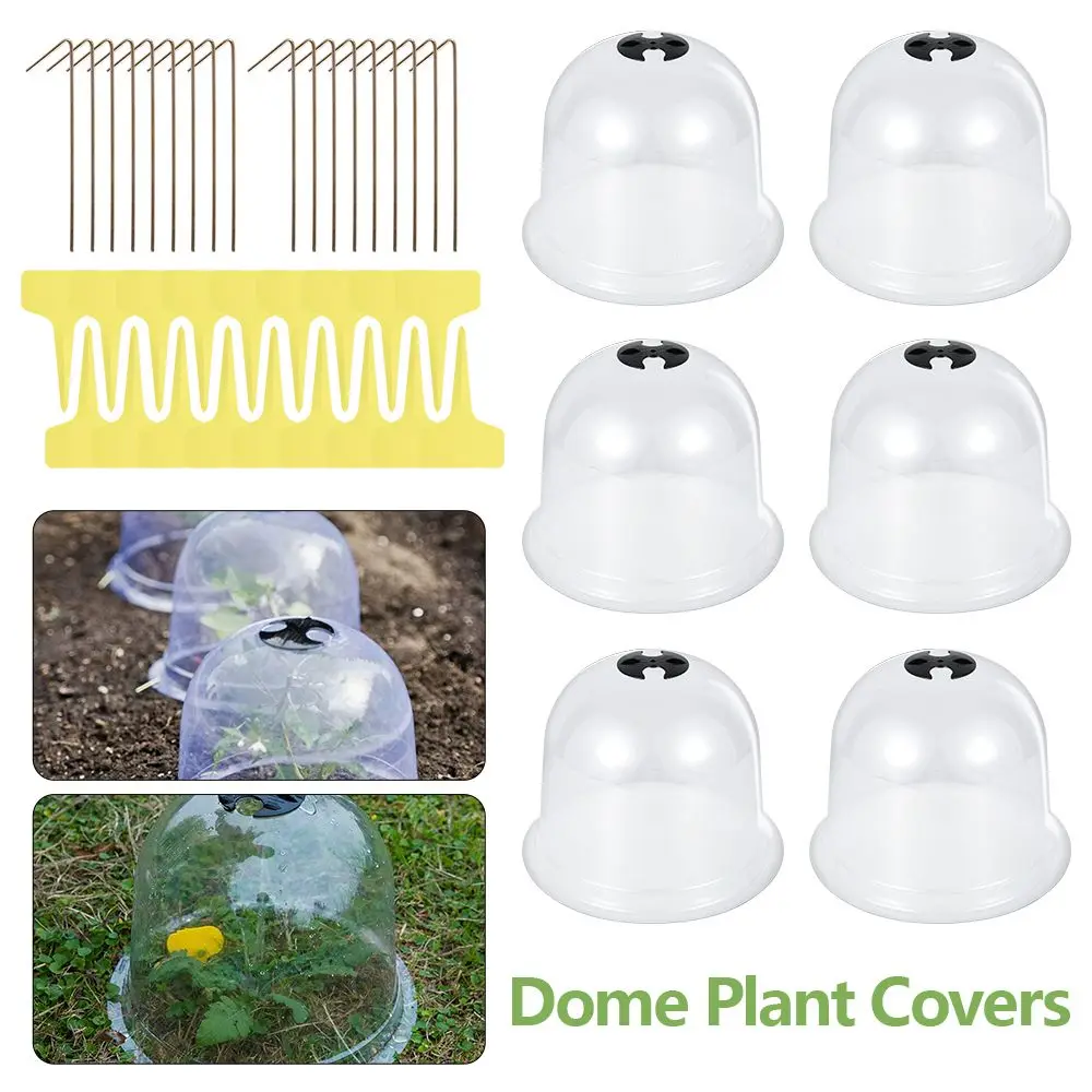 Garden Cloche Dome Plant Bell Plant Covers For Garden Decor Plant Protector Cover Plastic For Plant Protection Cover
Garden Cloche Dome Plant Bell Plant Covers For Garden Decor Plant Protector Cover Plastic For Plant Protection Cover