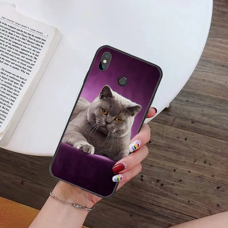 Webbedepp British Shorthair cat Phone Case For Xiaomi Redmi 7 8 9t a3 9se k20 mi8 max3 lite 9 note 9s 10 pro 
Webbedepp British Shorthair cat Phone Case For Xiaomi Redmi 7 8 9t a3 9se k20 mi8 max3 lite 9 note 9s 10 pro