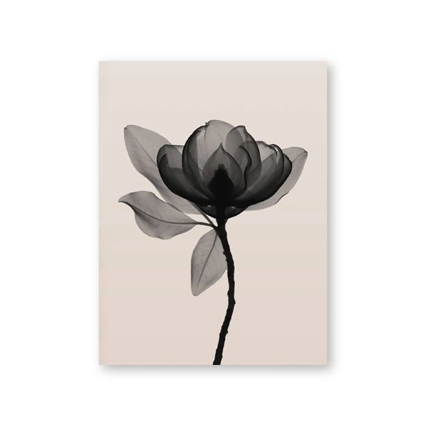 Flower Art Simple Black Lotus Canvas Painting Home Decoration Living Room Bedroom Background Wall Hanging Picture Frameless
Flower Art Simple Black Lotus Canvas Painting Home Decoration Living Room Bedroom Background Wall Hanging Picture Frameless