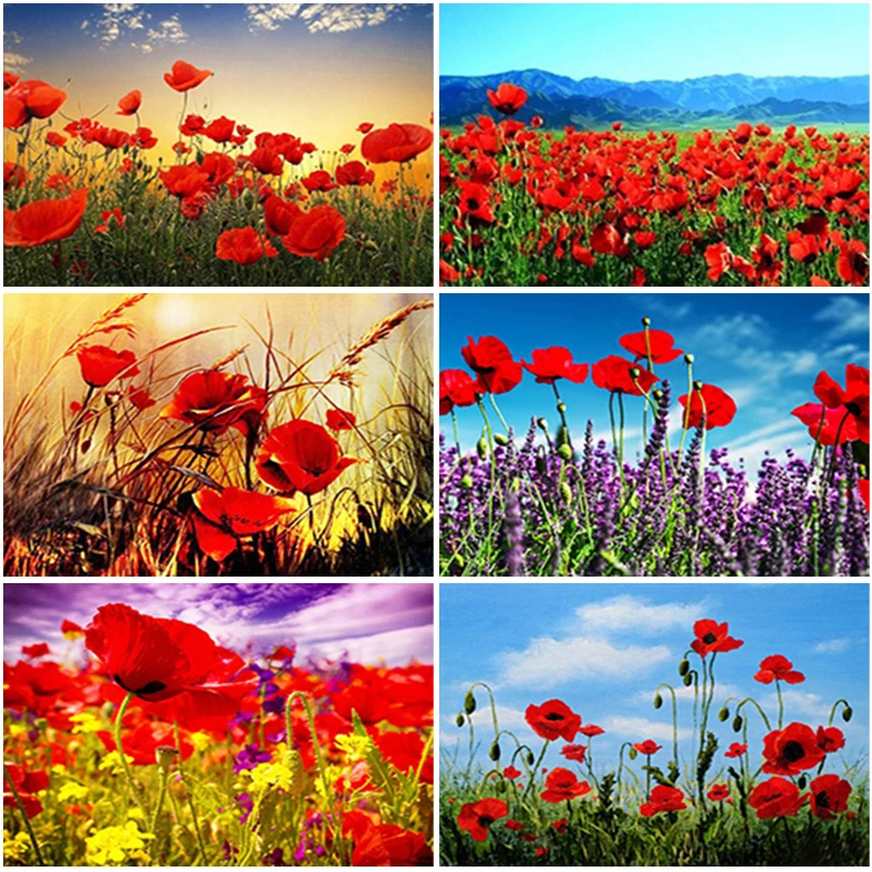 5D Diamond Painting Poppy Full Square Diamond Embroidery Flower Picture of Rhinestone Cross Stitch Kits Diamond Mosaic Wall Art
5D Diamond Painting Poppy Full Square Diamond Embroidery Flower Picture of Rhinestone Cross Stitch Kits Diamond Mosaic Wall Art