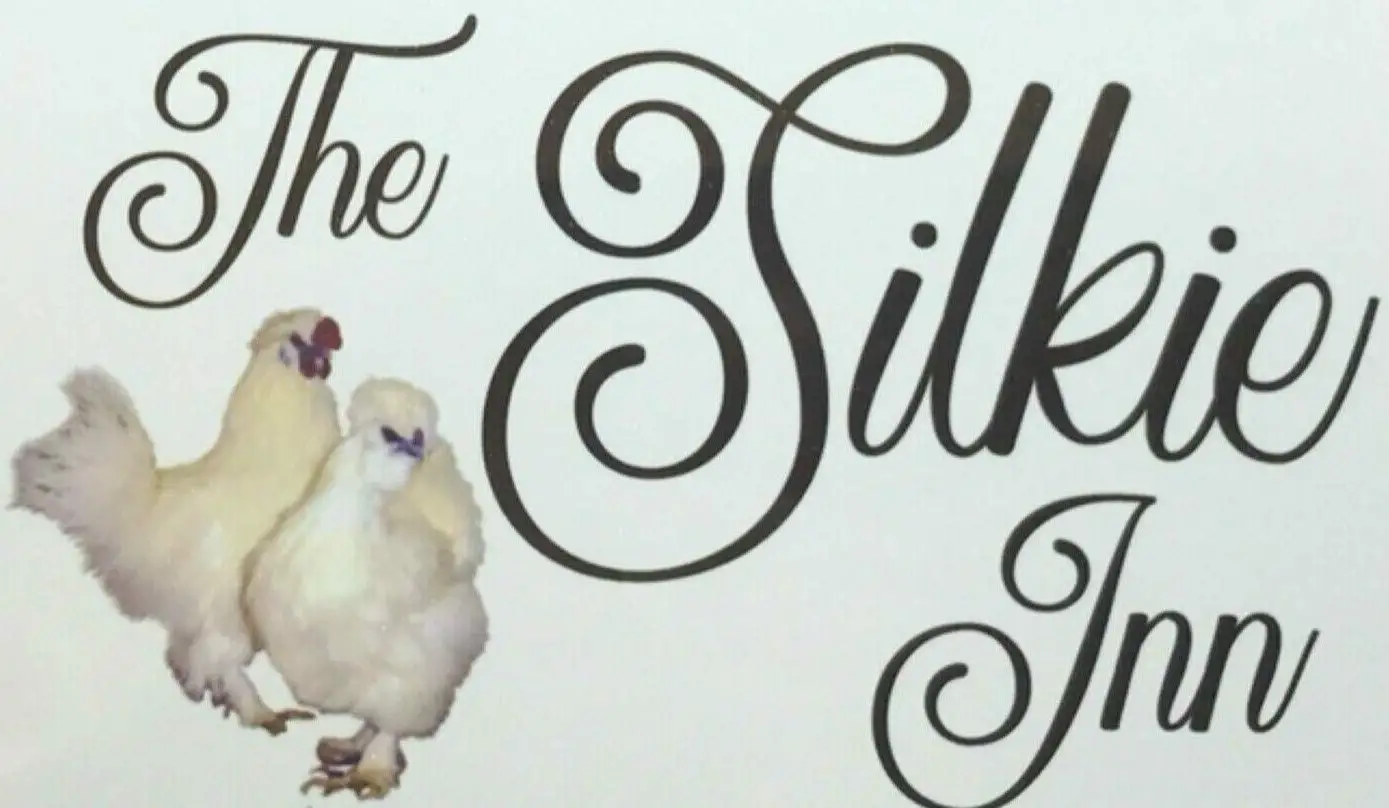 Силкийская ферма, сельская цыплята, гладкий плакат, ферма, свежие самородки, винтажный металлический паб, клуб, кафе, бар, домашнее настенное...
Силкийская ферма, сельская цыплята, гладкий плакат, ферма, свежие самородки, винтажный металлический паб, клуб, кафе, бар, домашнее настенное...