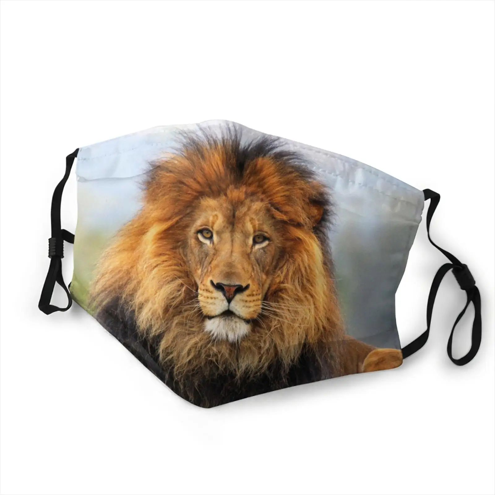 3D print lion Face Mask With Filter Pocket Washable Face Bandanas Balaclava Reusable Fabric Masque For Men Women With 2 Filter
3D print lion Face Mask With Filter Pocket Washable Face Bandanas Balaclava Reusable Fabric Masque For Men Women With 2 Filter