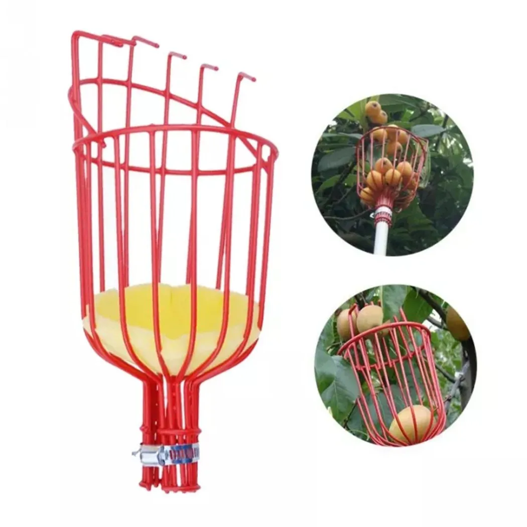 Fruit Picking Head Steel Material Harvesting Picker 13.58x5.71inch With Sponge Deep Basket Gardening Tools
Fruit Picking Head Steel Material Harvesting Picker 13.58x5.71inch With Sponge Deep Basket Gardening Tools