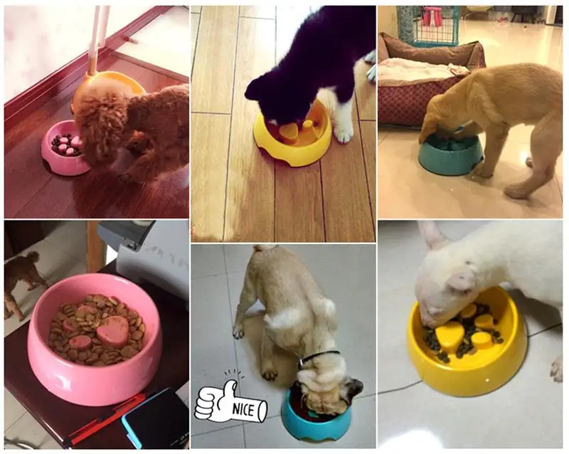 1 Piece Pet Cat Bowl Creative Footprint Design Kitten Puppy Slow Eating Feeding Bowl Cat Food Water Feeder Pet Cats Accessories
1 Piece Pet Cat Bowl Creative Footprint Design Kitten Puppy Slow Eating Feeding Bowl Cat Food Water Feeder Pet Cats Accessories