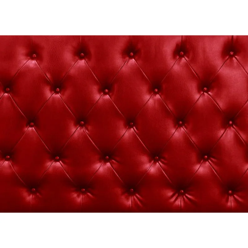 Vinyl Custom Photography Backdrops Props Sofa theme Photo Studio Background 20915SF-03
Vinyl Custom Photography Backdrops Props Sofa theme Photo Studio Background 20915SF-03