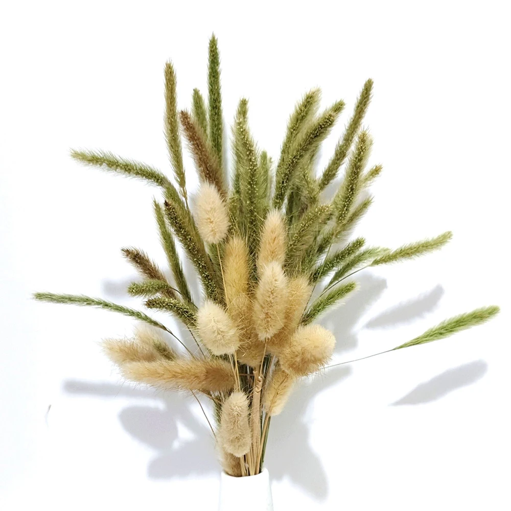 30/40pcs Pampa Decoration Small Reed Bulrush Natural Dried Flowers Phragmites Artificial Dry Plant Bunch Wedding Home Decoration
30/40pcs Pampa Decoration Small Reed Bulrush Natural Dried Flowers Phragmites Artificial Dry Plant Bunch Wedding Home Decoration