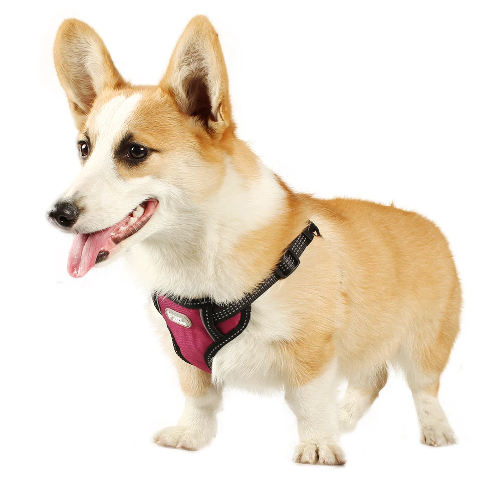 2020 New Traction Rope Dog Breast Straps Small and Medium-sized Dog Accessories Camouflage Sports Nylon Dog Collar 
2020 New Traction Rope Dog Breast Straps Small and Medium-sized Dog Accessories Camouflage Sports Nylon Dog Collar
