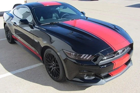 Для 1 набора/3 шт., графический набор Mustang Center Rally Stripe