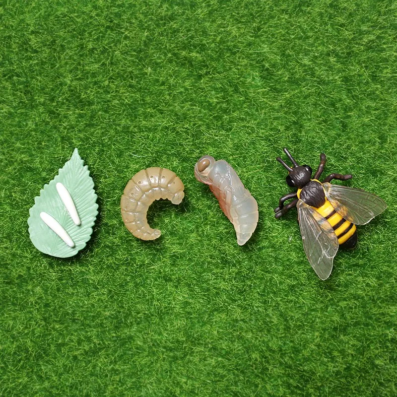 Simulation Fascinating Creatures Bee Animals Model Life Cycle of a Honey Bee Action Figures Miniature Educational Toys
Simulation Fascinating Creatures Bee Animals Model Life Cycle of a Honey Bee Action Figures Miniature Educational Toys