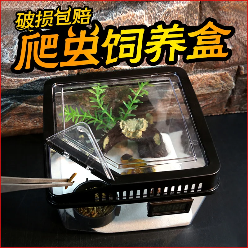 Outworld Insect Feeding Box Acrylic Insect Ant House Container Ecological Vertical Farming Werkstatt Pet Products BY50KC
Outworld Insect Feeding Box Acrylic Insect Ant House Container Ecological Vertical Farming Werkstatt Pet Products BY50KC