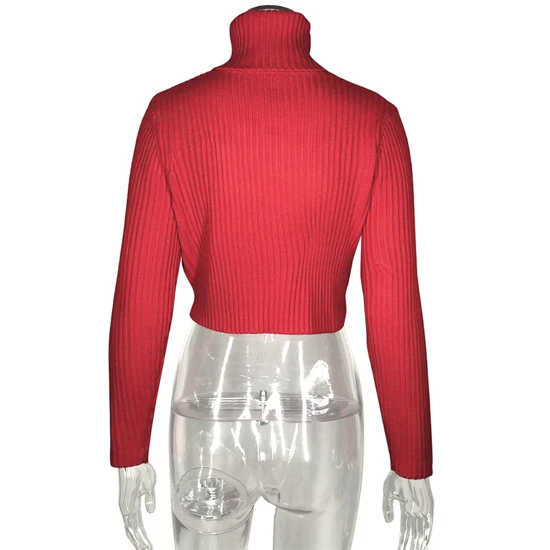 Mandylandy Autumn Short Sweater Women's Casual Long Sleeve Turtleneck Solid Color Pullovers Knitted Sweater
Mandylandy Autumn Short Sweater Women's Casual Long Sleeve Turtleneck Solid Color Pullovers Knitted Sweater
