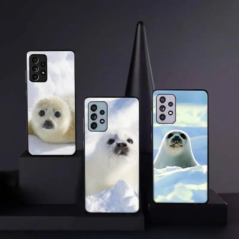 Baby Harp Seal Sea Lion cute animal Phone Case For Samsung galaxy A S note 10 12 20 32 40 50 51 52 70 71 72 21 fe s ultra plus
Baby Harp Seal Sea Lion cute animal Phone Case For Samsung galaxy A S note 10 12 20 32 40 50 51 52 70 71 72 21 fe s ultra plus