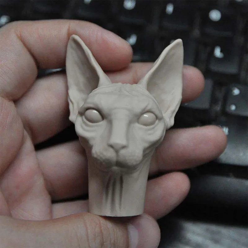 1/6 Unpainted Painting Exercise Pet Sphynx Hairless Cat Head Sculpt Carving Model Fit 12'' Action Figure Body
1/6 Unpainted Painting Exercise Pet Sphynx Hairless Cat Head Sculpt Carving Model Fit 12'' Action Figure Body