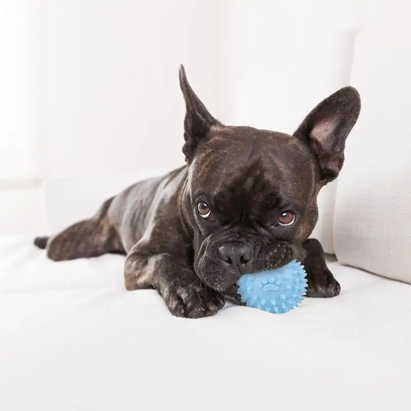 2PCS Dog Toy Ball Bite Resistant Rubber Sound Toy Dog Toys For Aggressive Chewers Training Toy Dog Play Ball Cosas Para Perros
2PCS Dog Toy Ball Bite Resistant Rubber Sound Toy Dog Toys For Aggressive Chewers Training Toy Dog Play Ball Cosas Para Perros