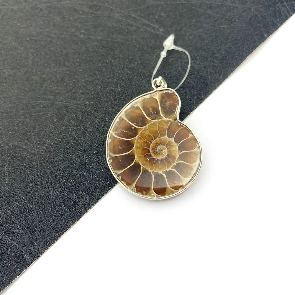 Natural Shell Conch Pendant Snail Shape Jewelry Accessories Edge DIY Handmade Necklace Bracelet Jewelry Gift Designer Charms
Natural Shell Conch Pendant Snail Shape Jewelry Accessories Edge DIY Handmade Necklace Bracelet Jewelry Gift Designer Charms