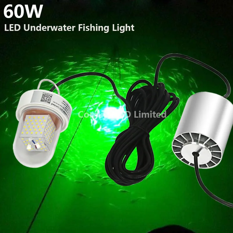 DC12V-24V 60W Green White Blue 6M Cable IP68 Deep Underwater Fishing LED Diving Lights |