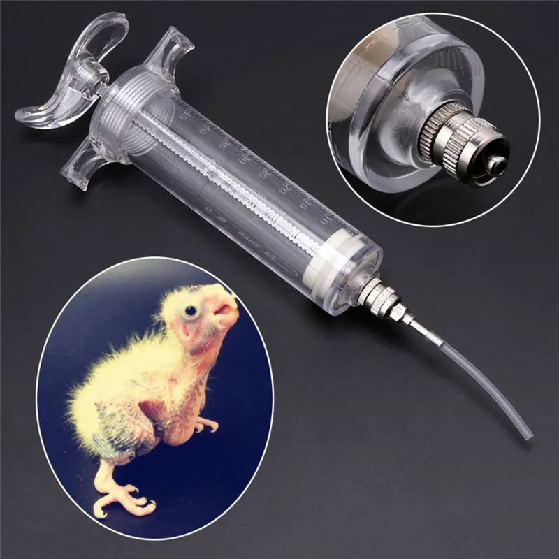 Parrot Chick Feeding Rearing Gavage Head Syringe Hose Birds Manual Feeding Syringe Injector Supplies Bird Feeders 10/20/50/100ml
Parrot Chick Feeding Rearing Gavage Head Syringe Hose Birds Manual Feeding Syringe Injector Supplies Bird Feeders 10/20/50/100ml