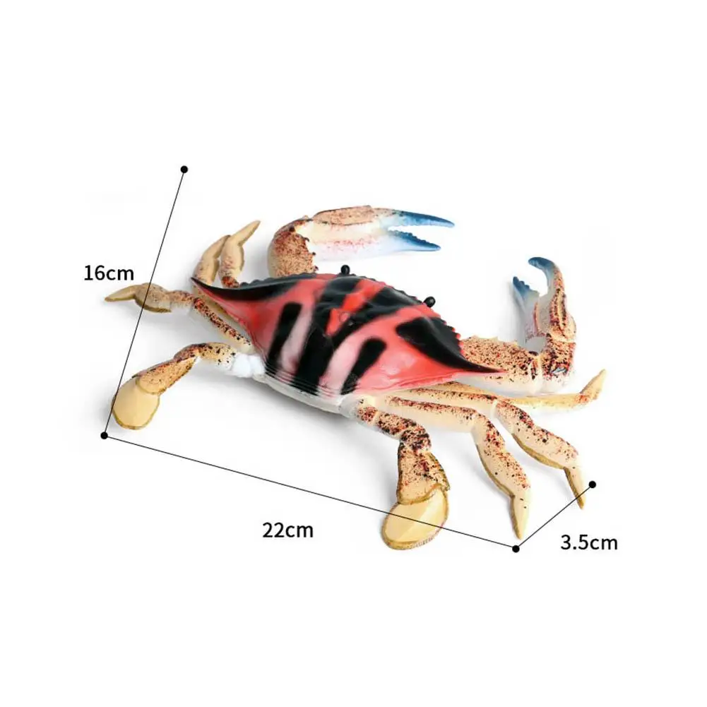 Simulation Redspot Spotted Sea Crab Plastic Model Kids Toy Desktop Ornament Toddler Early Education Cognition Toys
Simulation Redspot Spotted Sea Crab Plastic Model Kids Toy Desktop Ornament Toddler Early Education Cognition Toys