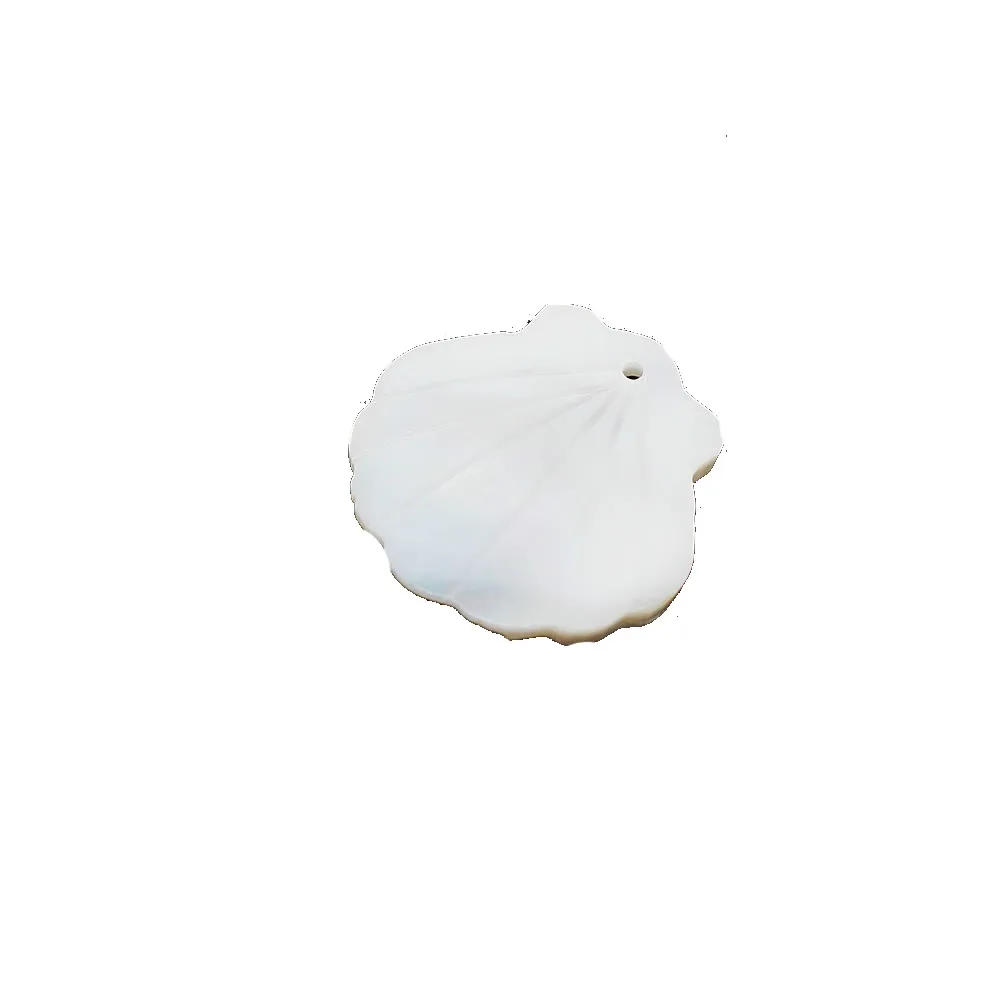 5pcs / bag natural conch shell pendant carved fan-shaped white shell pendant jewelry making DIY bracelet necklace accessory
5pcs / bag natural conch shell pendant carved fan-shaped white shell pendant jewelry making DIY bracelet necklace accessory
