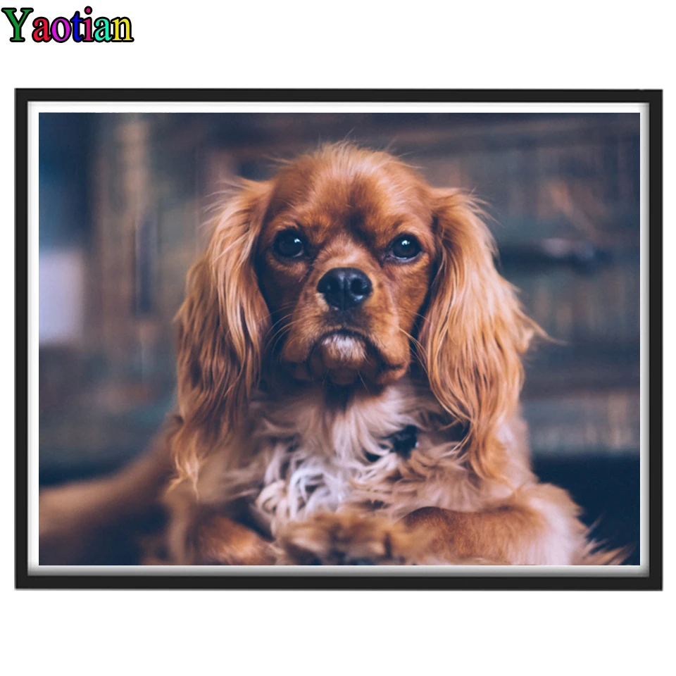 5d Diamond Painting Cavalier King Charles Spaniel DIY Diamond Embroidery Handmade Gift Mosaic Home Decoration Needlework
5d Diamond Painting Cavalier King Charles Spaniel DIY Diamond Embroidery Handmade Gift Mosaic Home Decoration Needlework