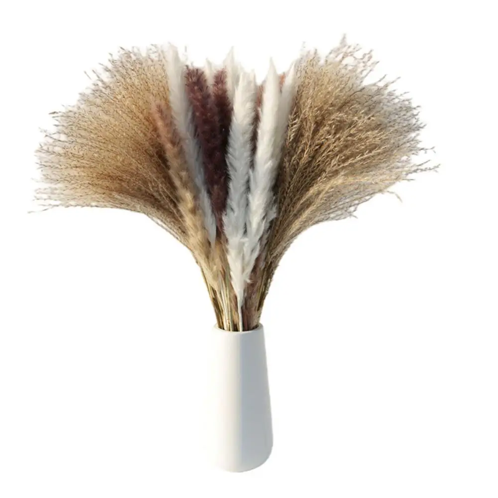 Natural Dried Pampas Grass Bouquet Pampas Branches Dried Reed Flower Plant Decor For Home Wedding Decor Arrangement Props
Natural Dried Pampas Grass Bouquet Pampas Branches Dried Reed Flower Plant Decor For Home Wedding Decor Arrangement Props