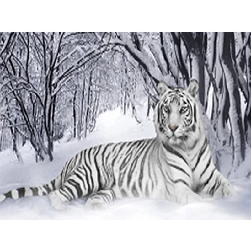 Stocks Snow forest tiger Diamond diagram Kits Diamond Embroidery Cross Stitch Rhinestone Mosaic Painting Hanging picture
Stocks Snow forest tiger Diamond diagram Kits Diamond Embroidery Cross Stitch Rhinestone Mosaic Painting Hanging picture