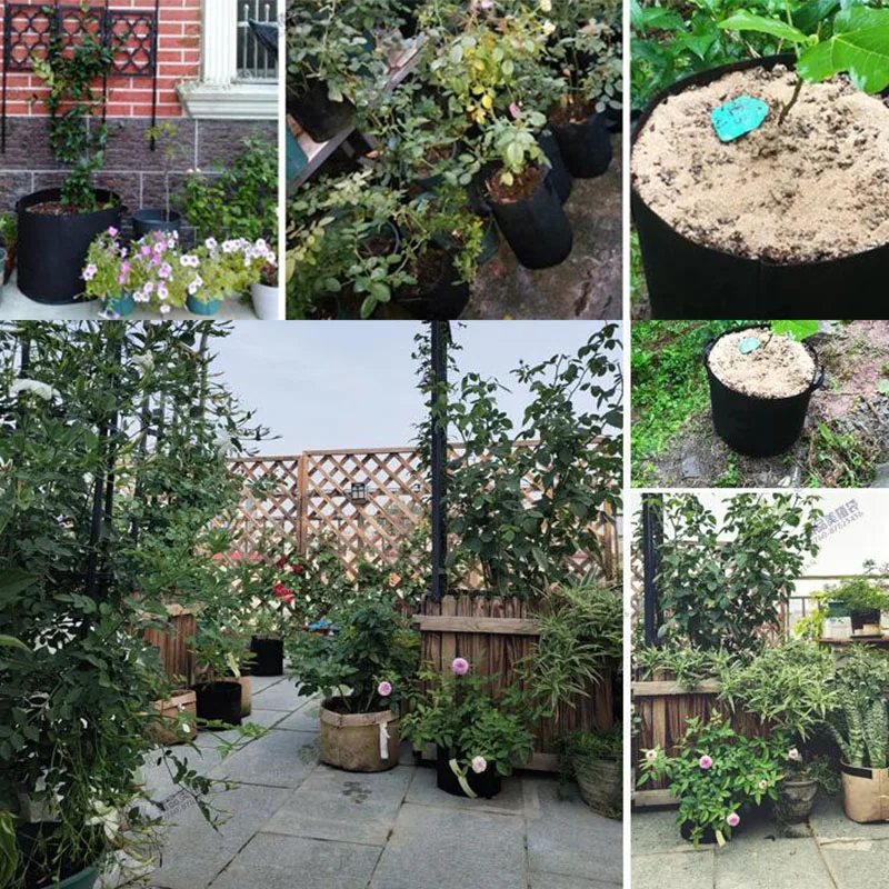 Planting Grow Bags Non-Woven Fabric Pots With Handles eco friendly beauty planting bag tree bag growth flower pot
Planting Grow Bags Non-Woven Fabric Pots With Handles eco friendly beauty planting bag tree bag growth flower pot
