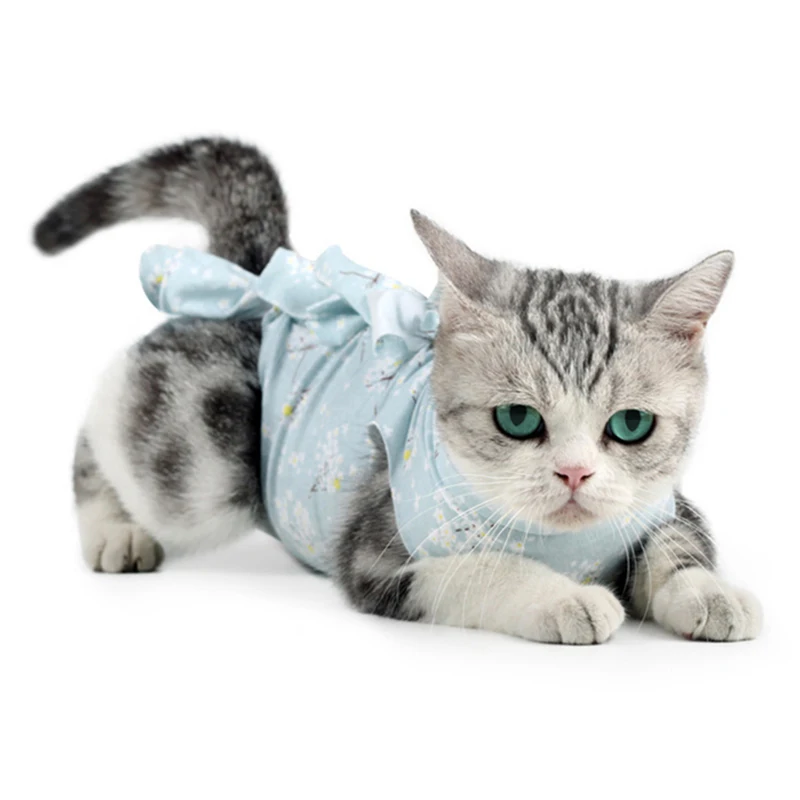 Cat Surgical Recovery Suits Cat Clothes Recovery Suit For Wounds Dog Shirt After Surgery Wear Weaning Recovery Suit Pet Clothes
Cat Surgical Recovery Suits Cat Clothes Recovery Suit For Wounds Dog Shirt After Surgery Wear Weaning Recovery Suit Pet Clothes