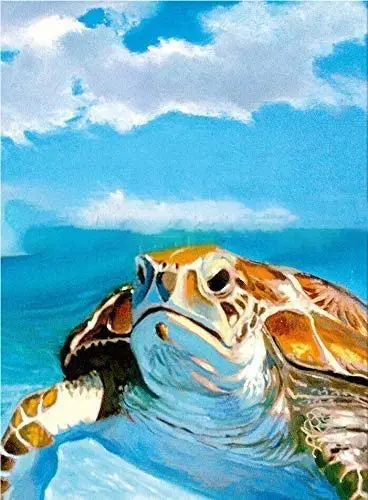 Hawaiian Sea Turtle from an Original Color Painting Metal Sign Man Cave Retro Bar Pub Home Wall Decoration 12X16 inch
Hawaiian Sea Turtle from an Original Color Painting Metal Sign Man Cave Retro Bar Pub Home Wall Decoration 12X16 inch