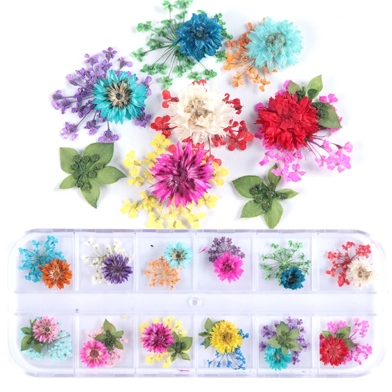 1 Box Real Dried Flower Dry Plant Star Sunflower Small Daisy Boxed Nail Art For Epoxy Resin Pendant Making Craft DIY Accessories
1 Box Real Dried Flower Dry Plant Star Sunflower Small Daisy Boxed Nail Art For Epoxy Resin Pendant Making Craft DIY Accessories