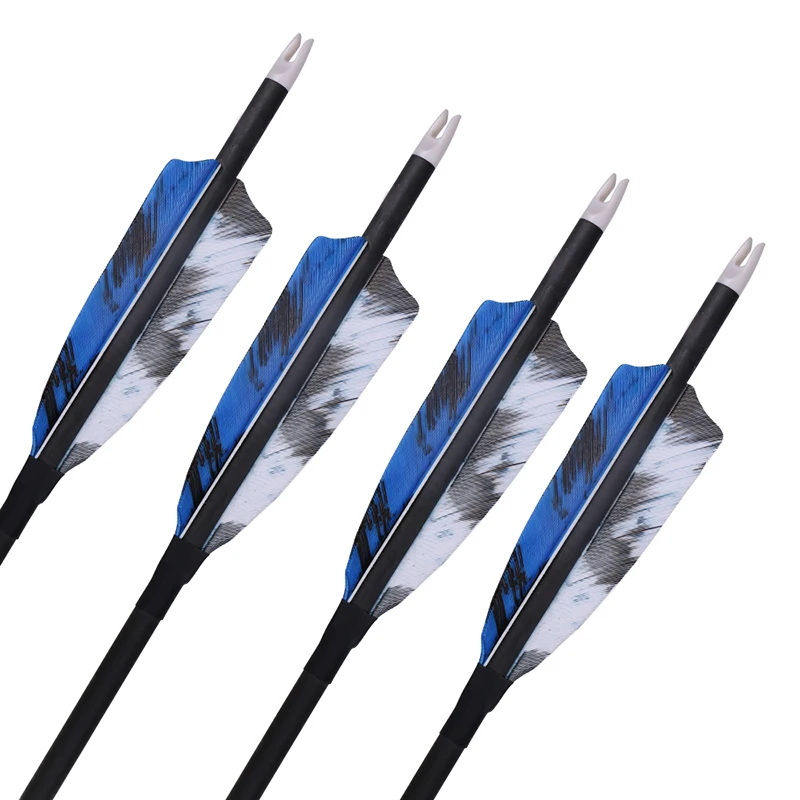 6/12 pcs 32 inches Spine 400 Carbon Arrow with nock replaceable metal arrow head for Recurve/Compound Bows Archery Hunting shot
6/12 pcs 32 inches Spine 400 Carbon Arrow with nock replaceable metal arrow head for Recurve/Compound Bows Archery Hunting shot