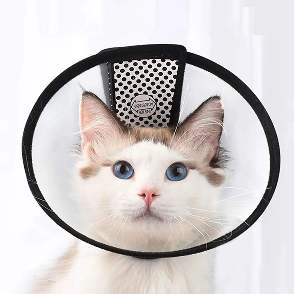 Домашними животными, котом, собакой; Уход за лошадьми крышка Елизаветы анти-укус кольцо прозрачный ПЭТ рубашка с принтом с котами и воротник... 
Домашними животными, котом, собакой; Уход за лошадьми крышка Елизаветы анти-укус кольцо прозрачный ПЭТ рубашка с принтом с котами и воротник...