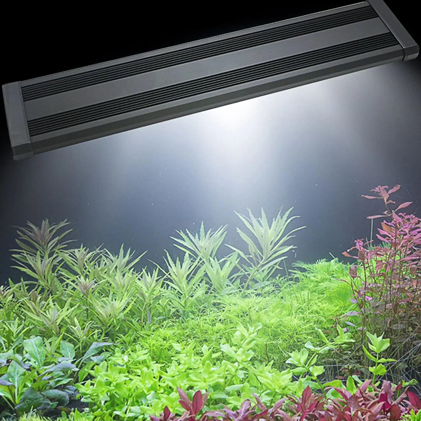 LED Aquarium Light Water Resistant Fish Tank Lamp Highlight Aquatic Decoration Lamp with Extendable Bracket
LED Aquarium Light Water Resistant Fish Tank Lamp Highlight Aquatic Decoration Lamp with Extendable Bracket