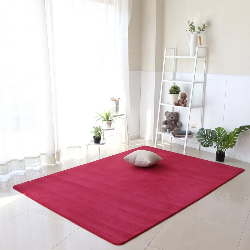 

Modern Solid Color Coral Velvet Carpet Living Room Area Rug Bedroom Bedside Sofa Floor Mat Water Absorption Yoga Mats Home Decor