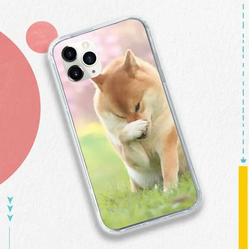 Tea Akita dog animal fashion cover painting Phone Case for iPhone 11 12 pro XS MAX 8 7 6 6S Plus X 5S SE 2020 XR
Tea Akita dog animal fashion cover painting Phone Case for iPhone 11 12 pro XS MAX 8 7 6 6S Plus X 5S SE 2020 XR