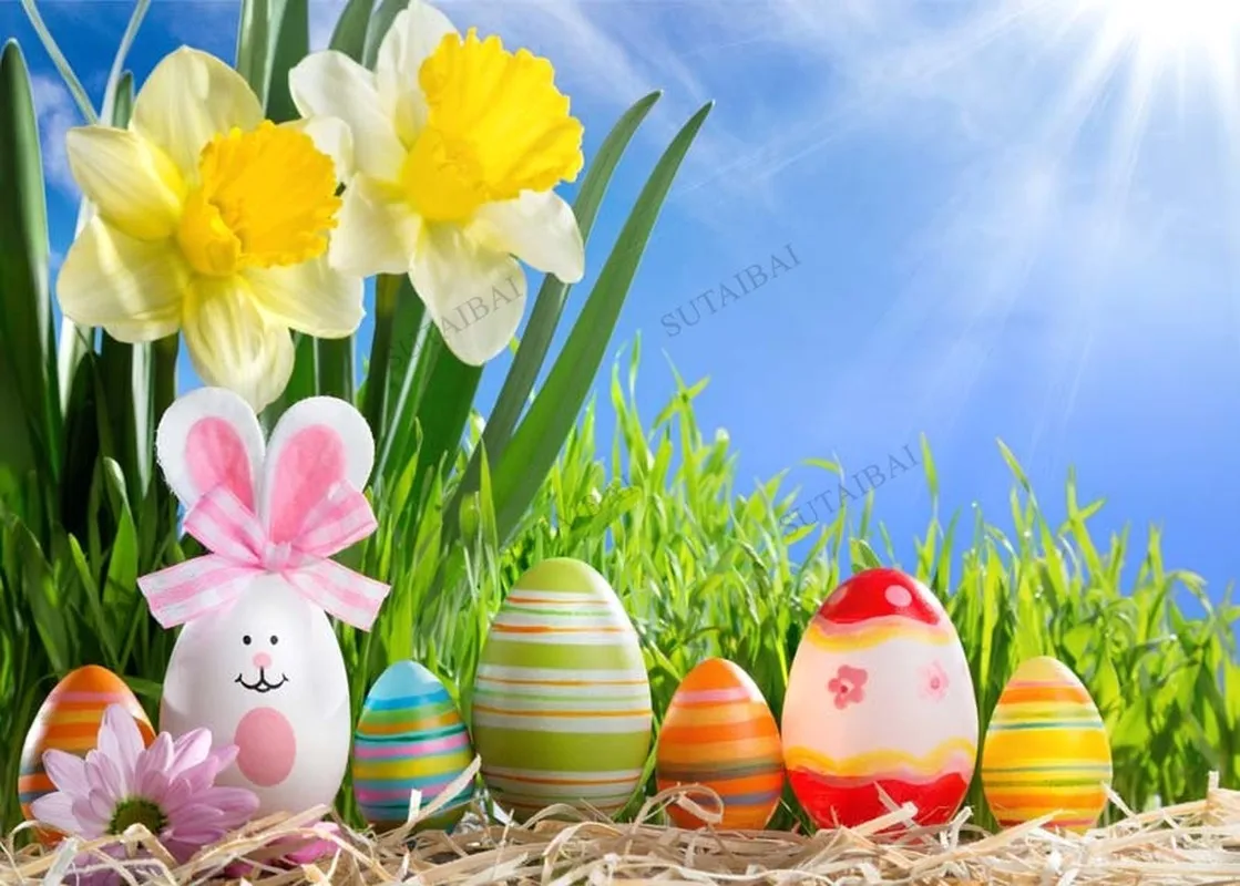 Spring Flowers Eggs Easter Backdrops Photography for Photo Studio Professional Baby Portrait Backgrounds Photocall Photo Studio
Spring Flowers Eggs Easter Backdrops Photography for Photo Studio Professional Baby Portrait Backgrounds Photocall Photo Studio