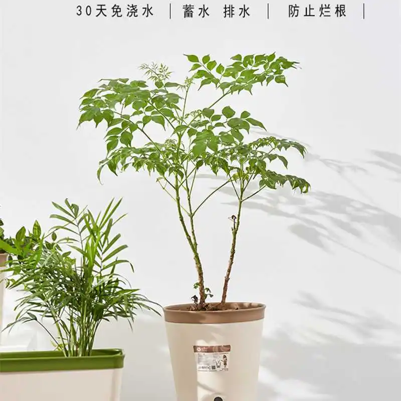 Watering Planter Handmade 2 Layer Self Watering Plant Flower Pot With Water Container Square Flowerpot Home Garden Decor
Watering Planter Handmade 2 Layer Self Watering Plant Flower Pot With Water Container Square Flowerpot Home Garden Decor