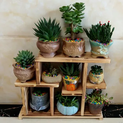 Solid wood desktop flower stand indoor multi-layer small flower stand green flower frame decoration living room window pot rack
Solid wood desktop flower stand indoor multi-layer small flower stand green flower frame decoration living room window pot rack